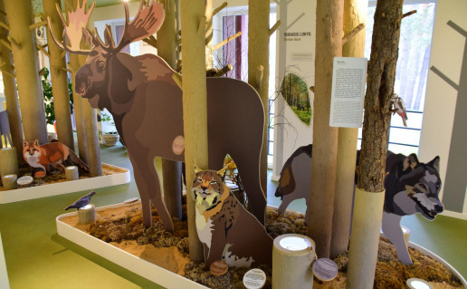 31_LC Marcinkonyse 2 (2).jpg